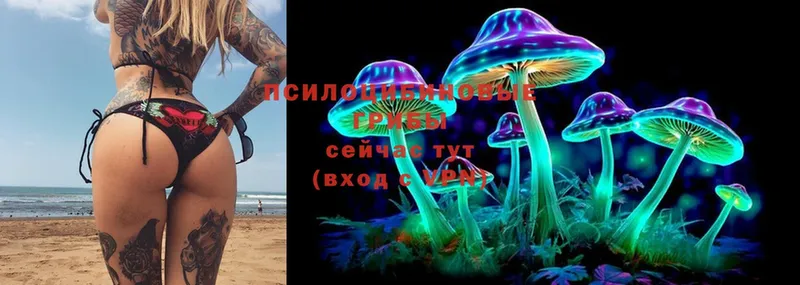 Псилоцибиновые грибы MAGIC MUSHROOMS Питкяранта